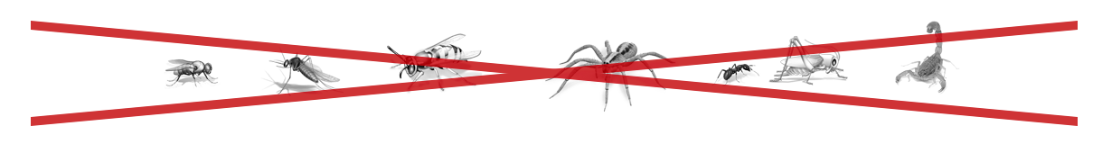 insetti zanzariere grey